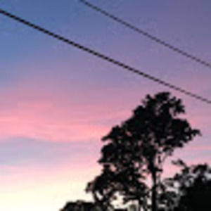 Meet your Posher, Maxine